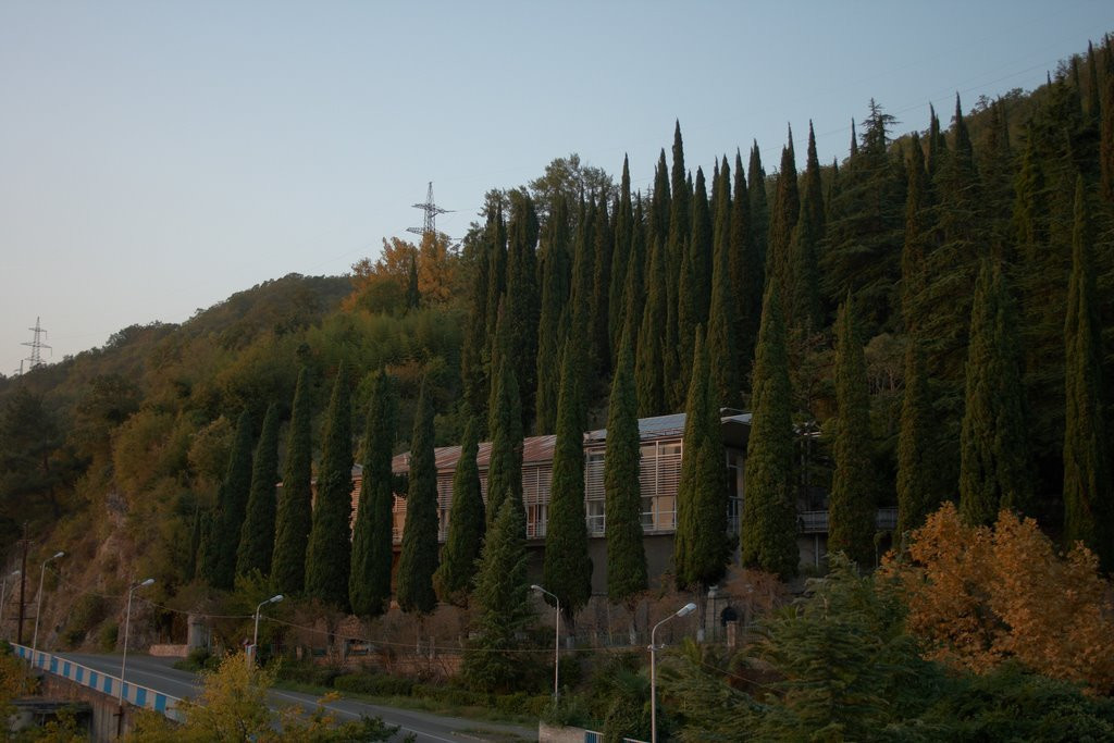 Гагра, Абхазия – фотографии Абхазии