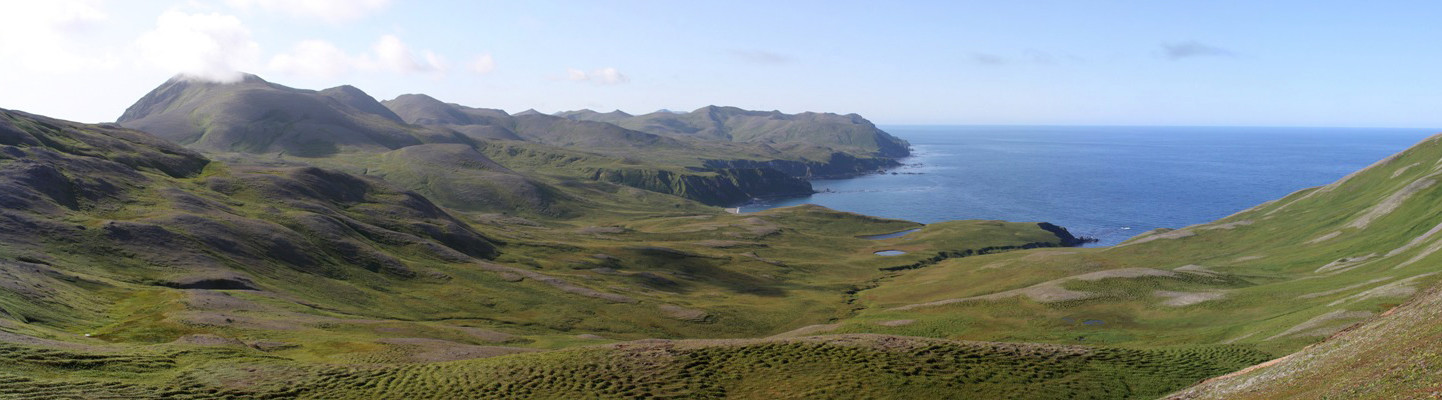 Командорский заповедник. Фото 12 – фотографии России