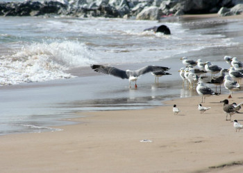 Мусандам, Оман, фото № 78097 – фотографии Омана