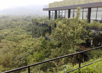 Кандалама, Шри-Ланка, фото № 51283 – фотографии Шри-Ланки