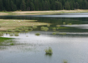 Црно озеро – фотографии Черногории