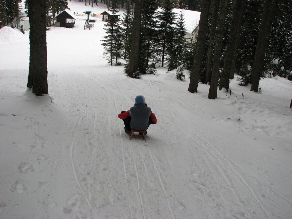 Поклюка, Словения, фото № 57424 – фотографии Словении