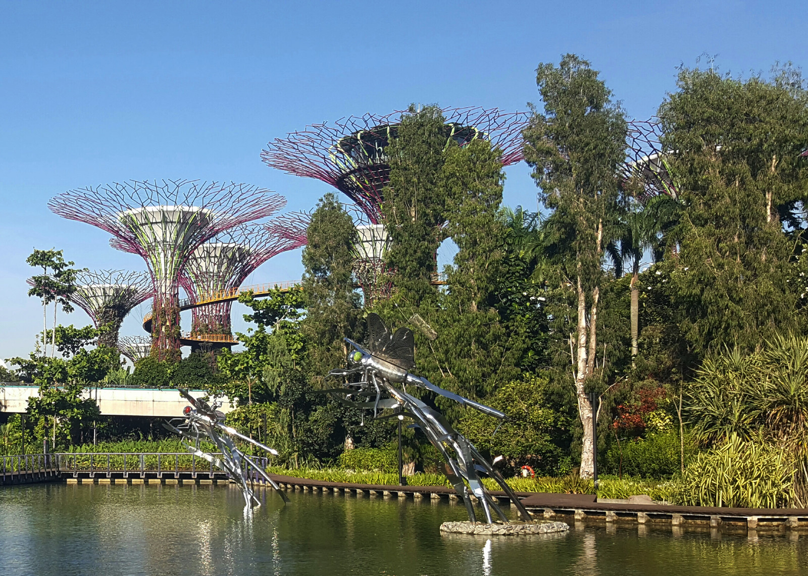Сады у Залива (Gardens by the Bay) в Сингапуре – фотографии Сингапура