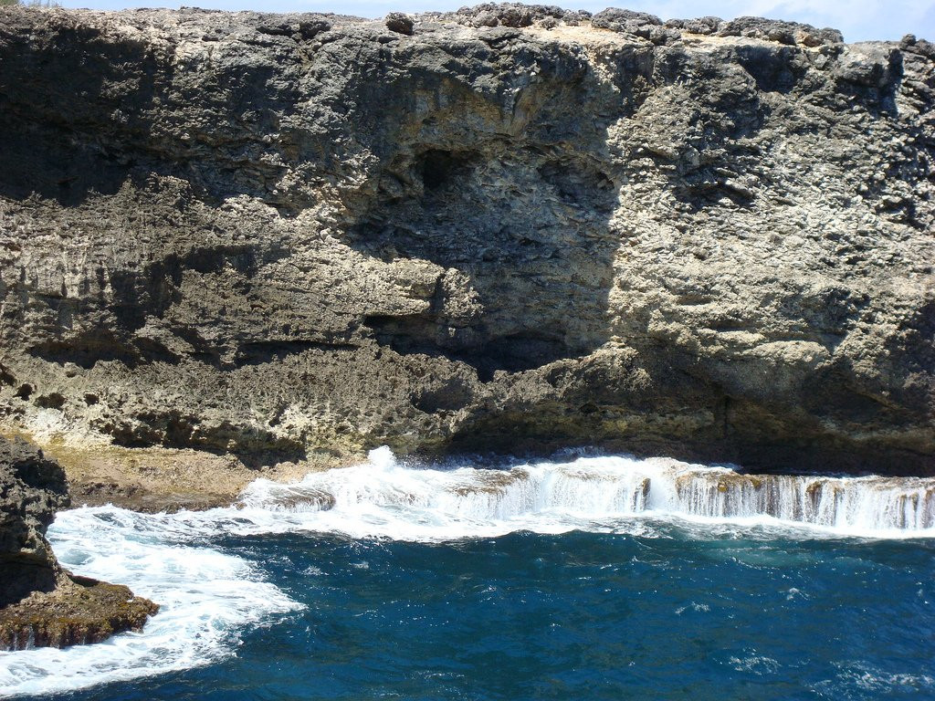 Скалы на побережье Барбадос – фотографии Барбадоса