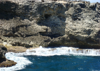 Скалы на побережье Барбадос – фотографии Барбадоса