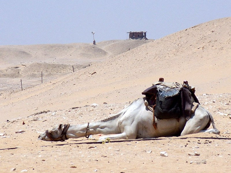 Египет, фото № 546 – фотографии Египта