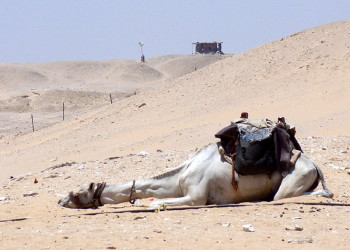 Египет, фото № 546 – фотографии Египта