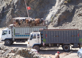 Уарзазат, Марокко, фото № 8373 – фотографии Марокко