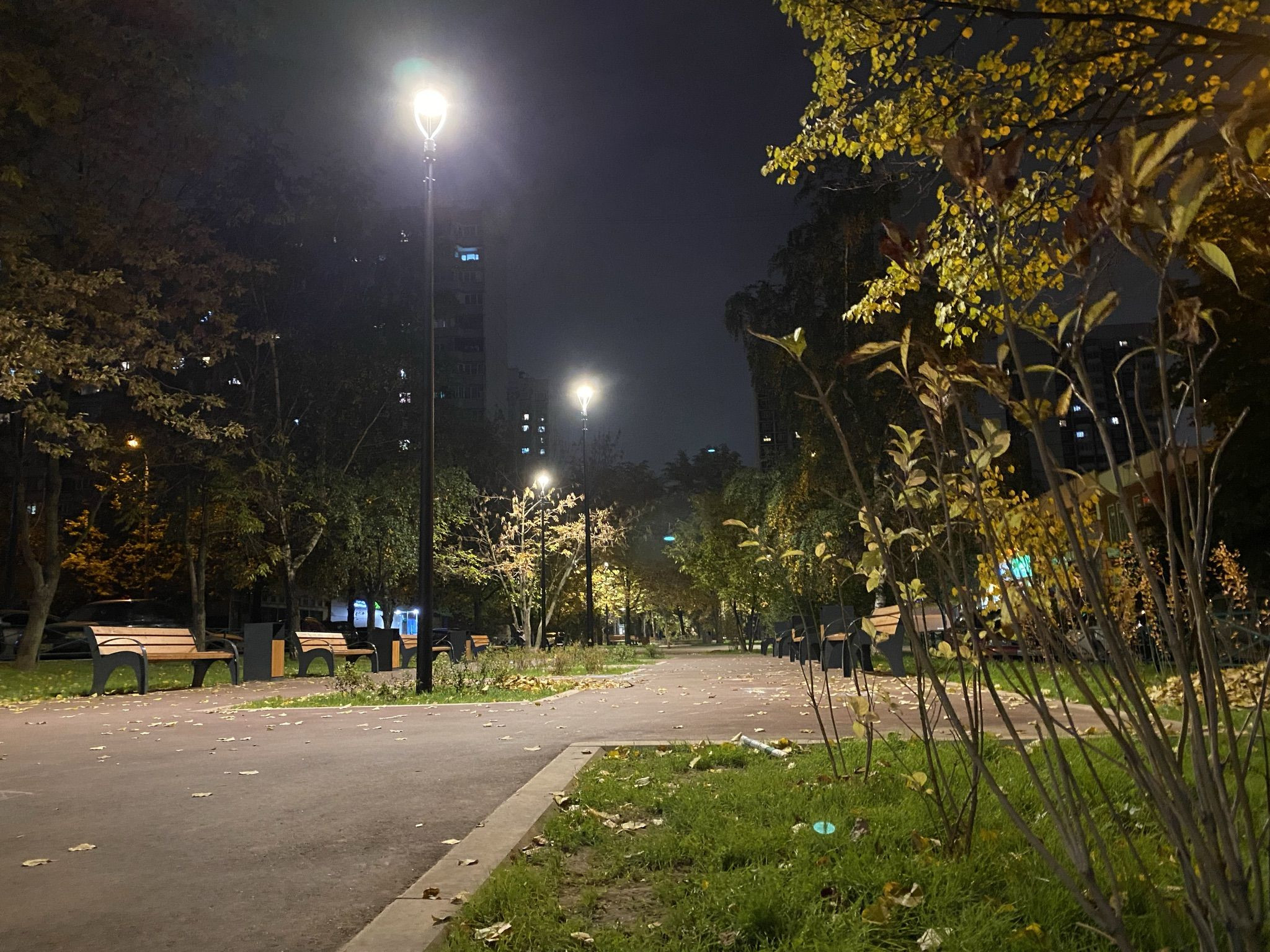 Аллея в Москворечье-Сабурово – фотографии России