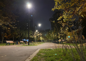 Аллея в Москворечье-Сабурово – фотографии России
