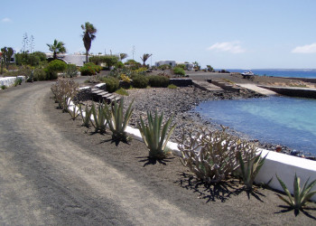 Ла-Грасиоса остров, Канарские острова, фото № 31766 – фотографии Канарских островов