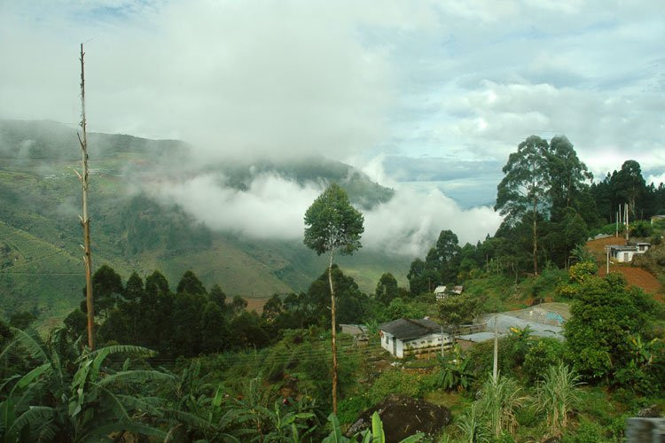 Нувара Элия, Шри-Ланка, фото № 52033 – фотографии Шри-Ланки