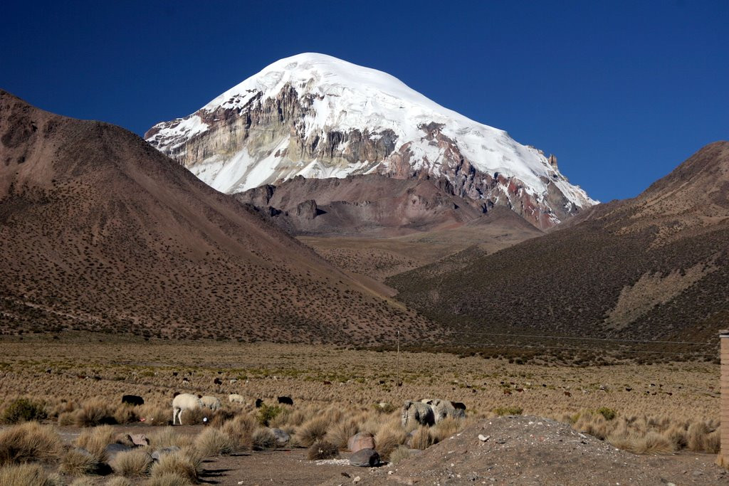 Национальный парк Сахама на западе Боливии – фотографии Боливии