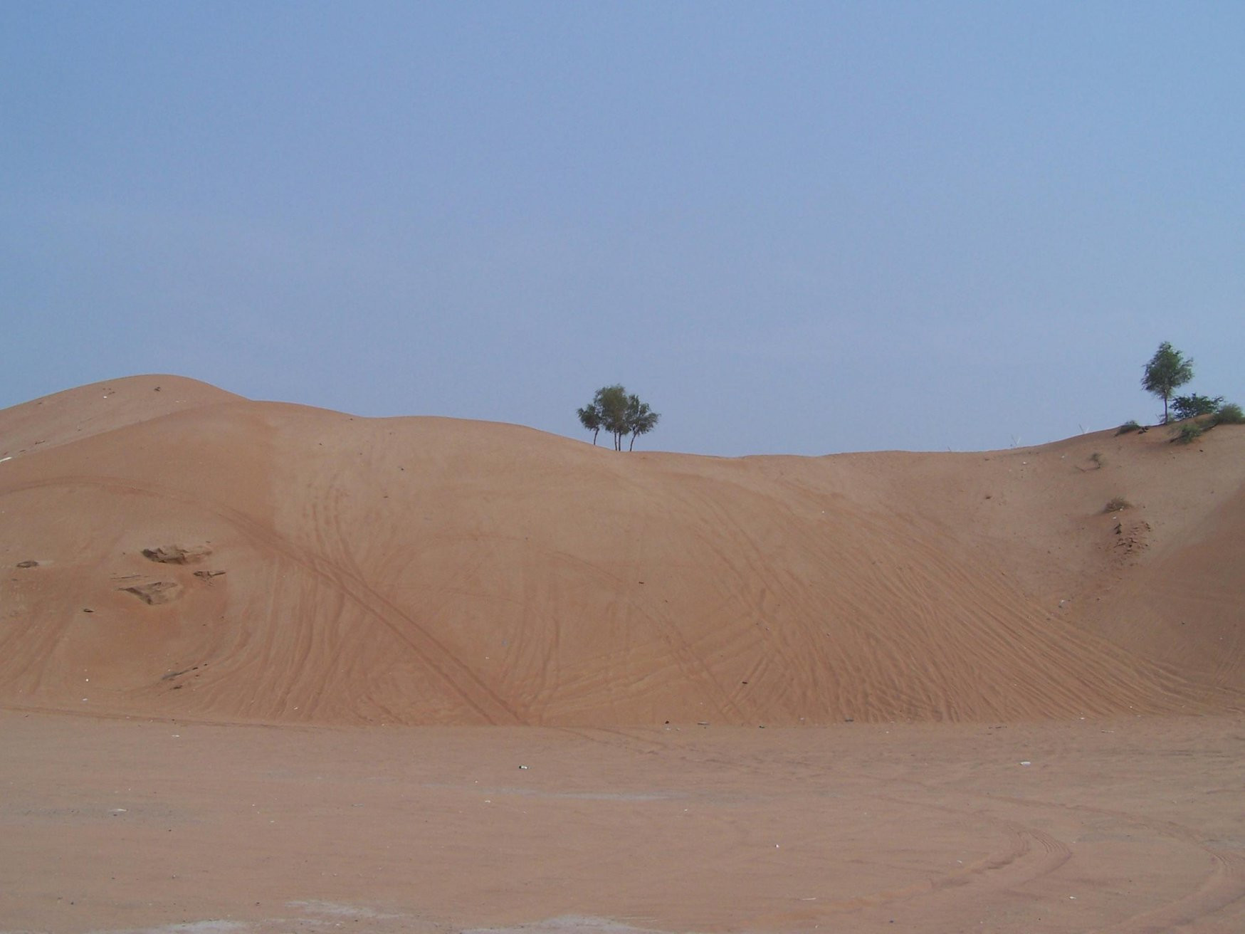 Рас-аль-Хайма, ОАЭ, фото № 61089 – фотографии ОАЭ