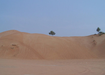 Рас-аль-Хайма, ОАЭ, фото № 61089 – фотографии ОАЭ