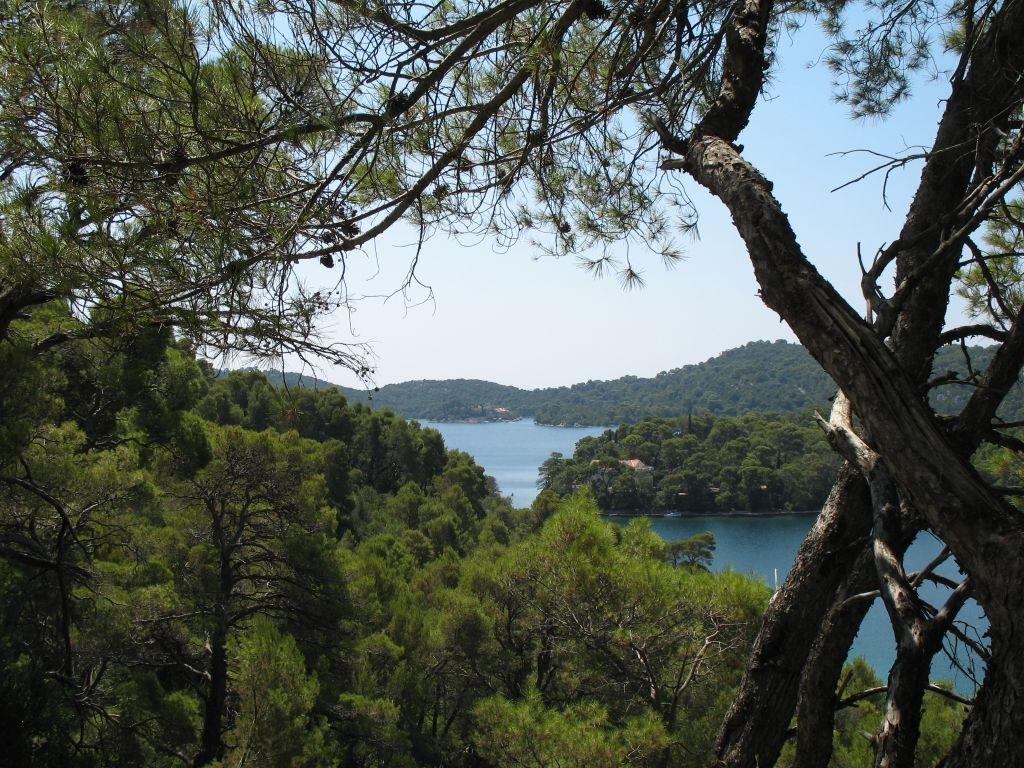 Природа в Национальном парке, Хорватия. Фото 7 – фотографии Хорватии