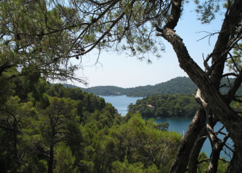 Природа в Национальном парке, Хорватия. Фото 7 – фотографии Хорватии