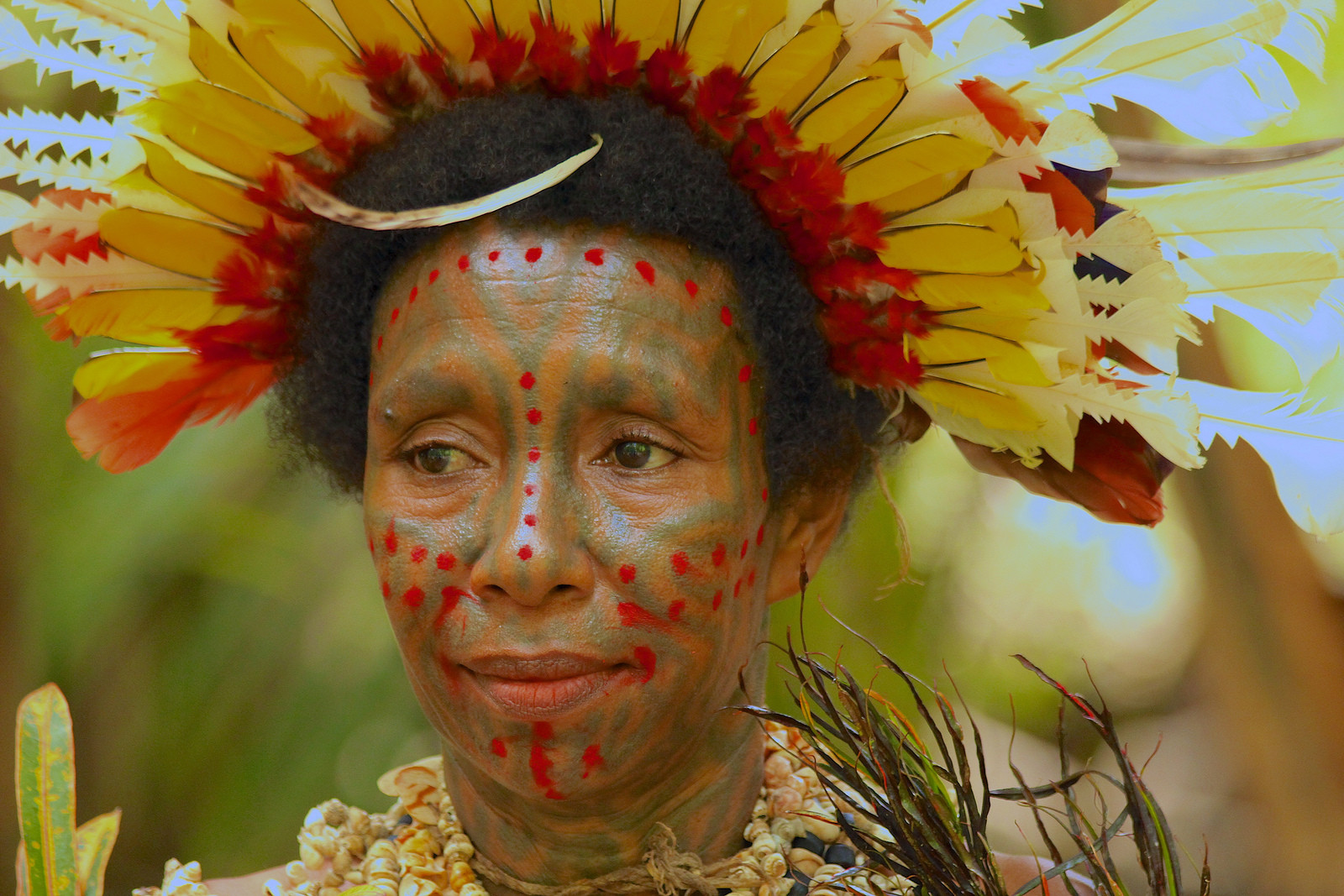 Настоящая экзотика — Папуа-Новая Гвинея. Фото 3 – фотографии Папуа — Новой Гвинеи