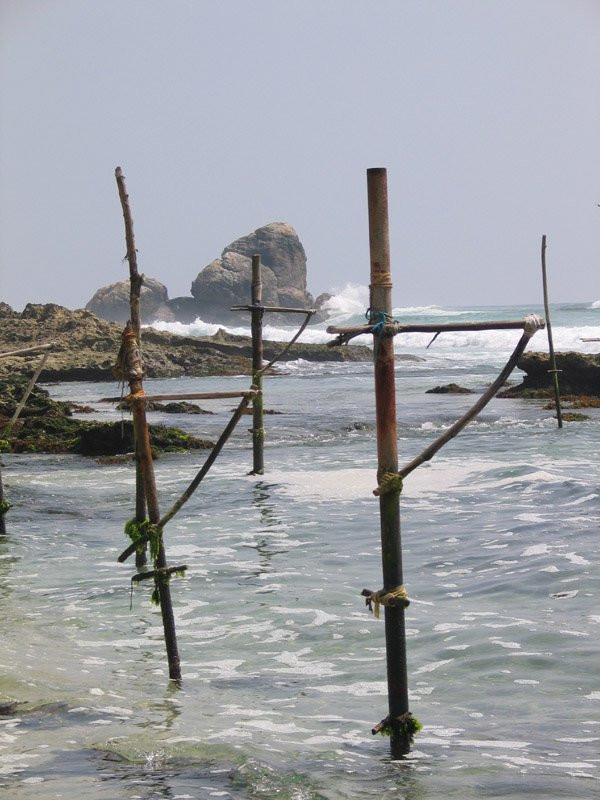 Коггала, Шри-Ланка, фото № 51591 – фотографии Шри-Ланки