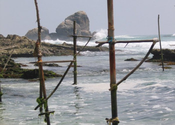 Коггала, Шри-Ланка, фото № 51591 – фотографии Шри-Ланки