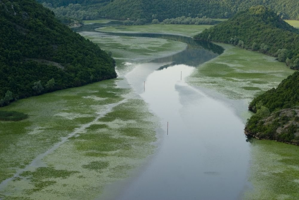 Рижека Крножевица – фотографии Черногории