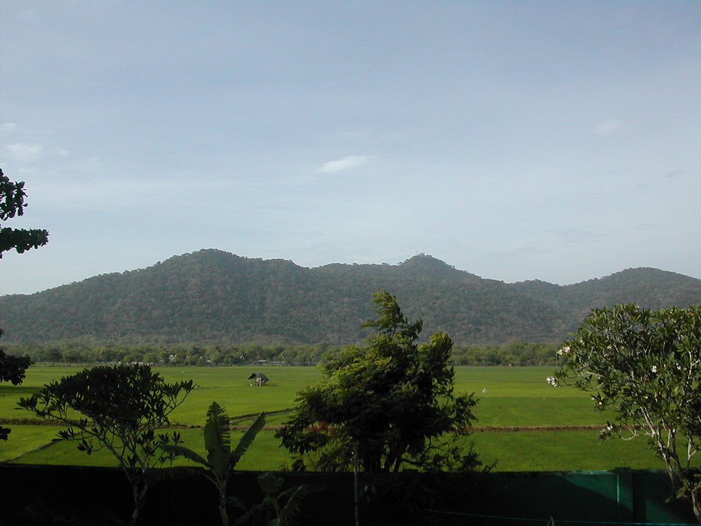 Катарагама, Шри-Ланка, фото № 51466 – фотографии Шри-Ланки