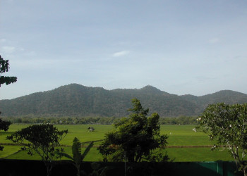 Катарагама, Шри-Ланка, фото № 51466 – фотографии Шри-Ланки