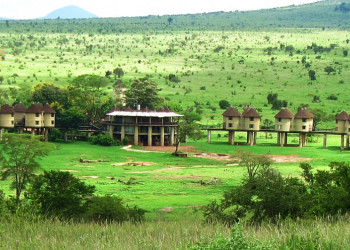 Sarova Salt Lick Game Lodge, Кения – фотографии Кении