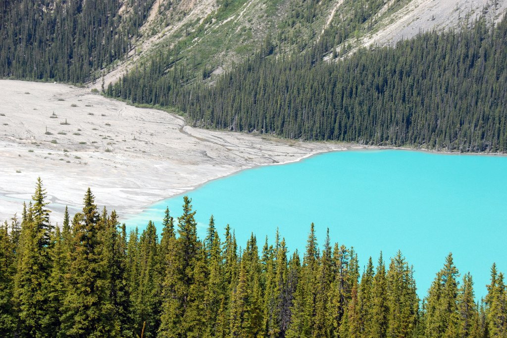 Озеро Пейто (Peyto Lake)  – фотографии Канады