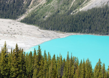 Озеро Пейто (Peyto Lake)  – фотографии Канады