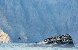 Остров Сокотра (Socotra) в Йемене. Фото 4 – фотографии Йемена