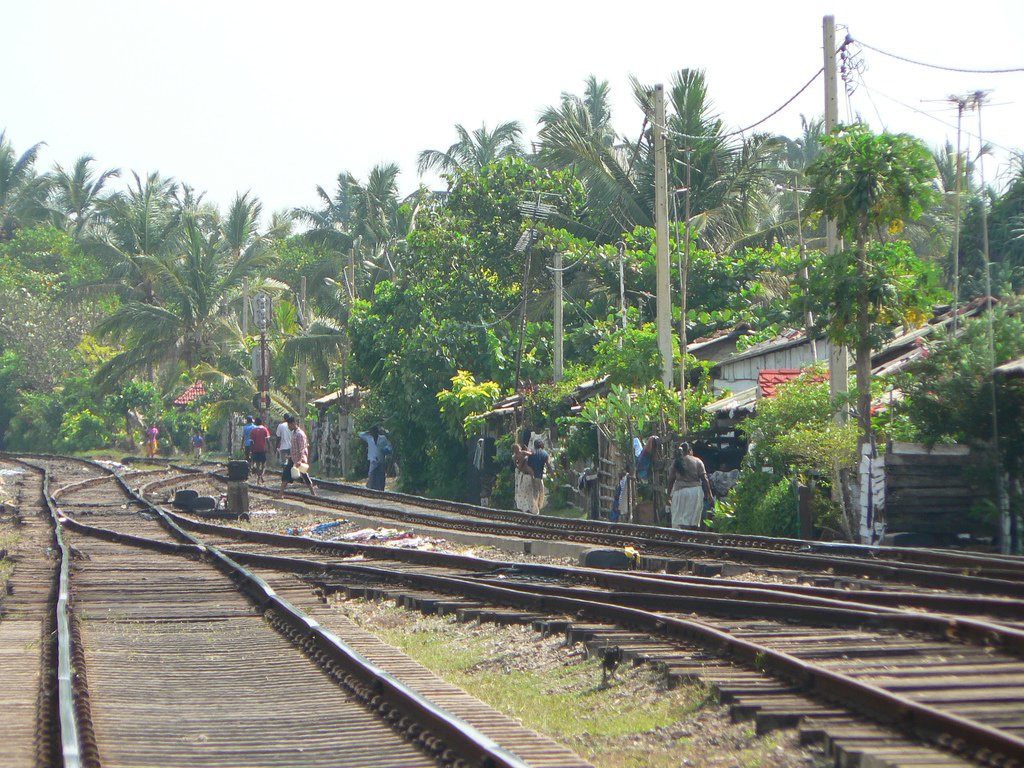 Маунт Лавиния, Шри-Ланка, фото № 51788 – фотографии Шри-Ланки