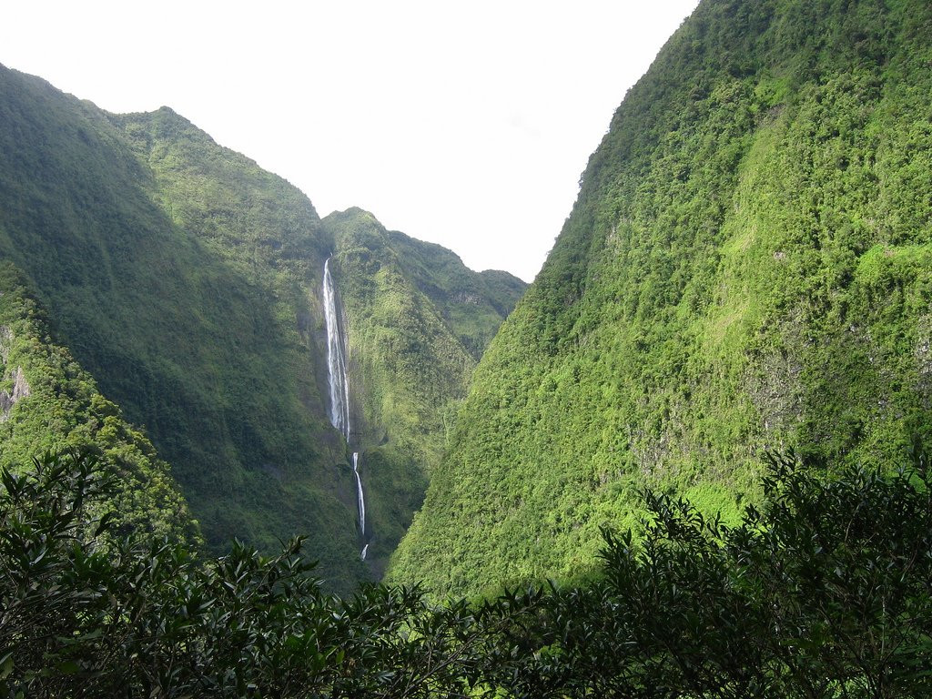 Салази, Реюньон, фото № 25818 – фотографии Реюньона