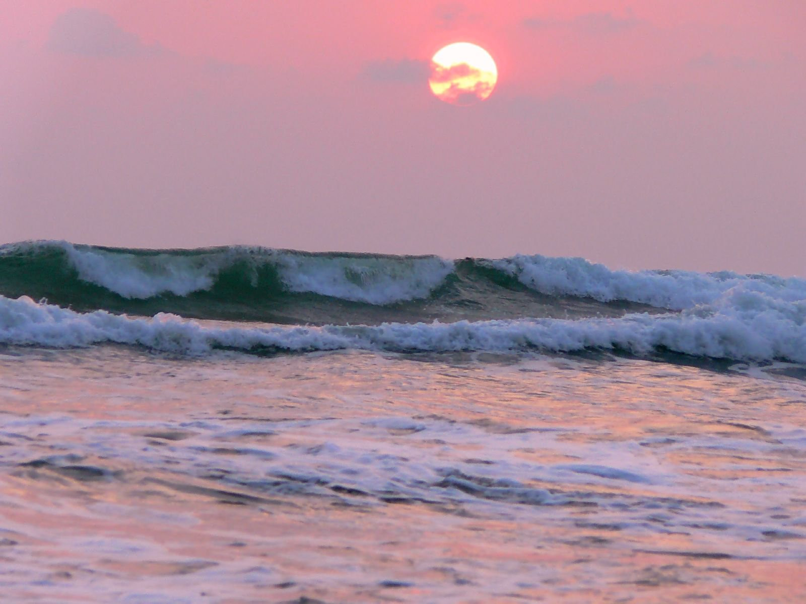 Ваддува, Шри-Ланка, фото № 50796 – фотографии Шри-Ланки