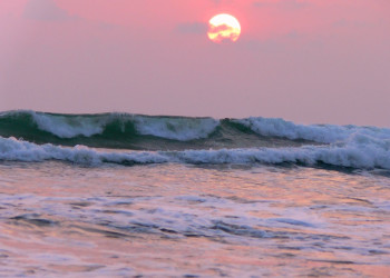 Ваддува, Шри-Ланка, фото № 50796 – фотографии Шри-Ланки