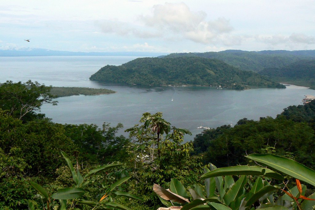 Гольфито, Пунтаренас провинция, Коста-Рика, фото № 40400 – фотографии Коста-Рики