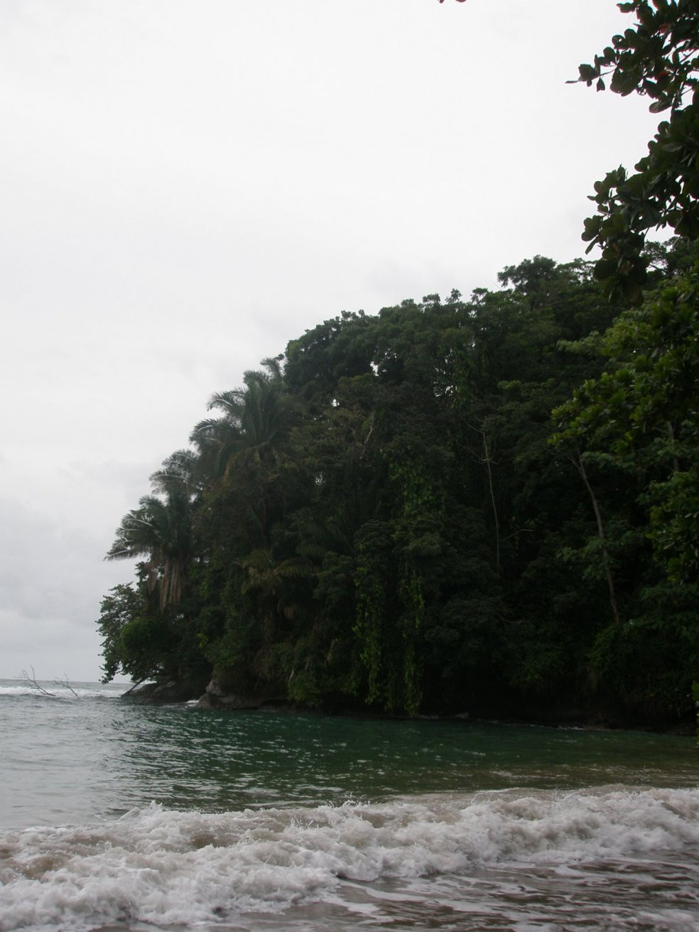 Пуэрто Вьехо, Лимон провинция, Коста-Рика, фото № 40228 – фотографии Коста-Рики