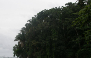 Пуэрто Вьехо, Лимон провинция, Коста-Рика, фото № 40228 – фотографии Коста-Рики