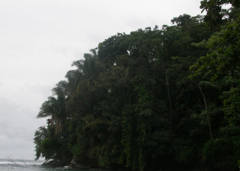 Пуэрто Вьехо, Лимон провинция, Коста-Рика, фото № 40228 – фотографии Коста-Рики