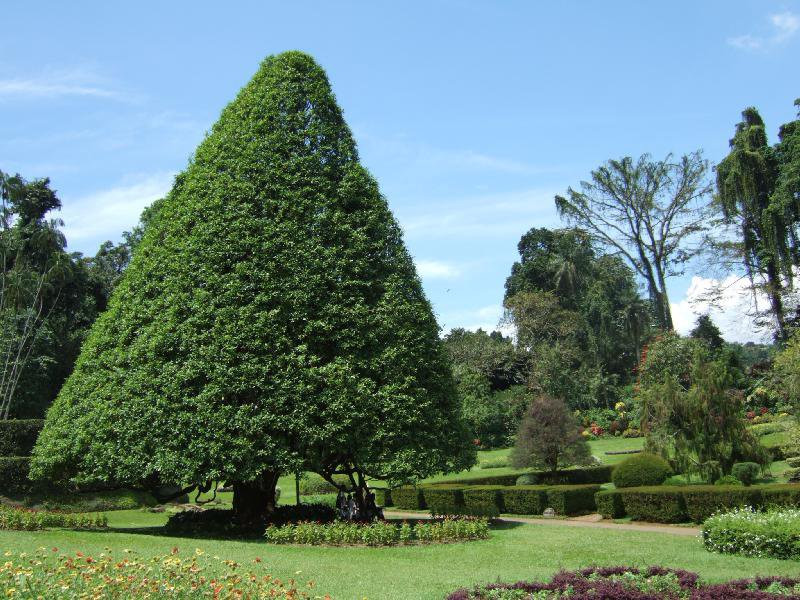 Канди, Шри-Ланка, фото № 51413 – фотографии Шри-Ланки