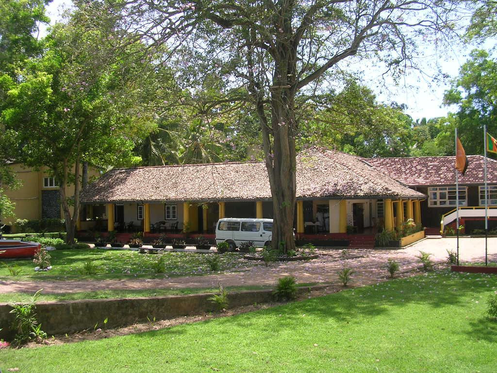 Велигама, Шри-Ланка, фото № 50853 – фотографии Шри-Ланки