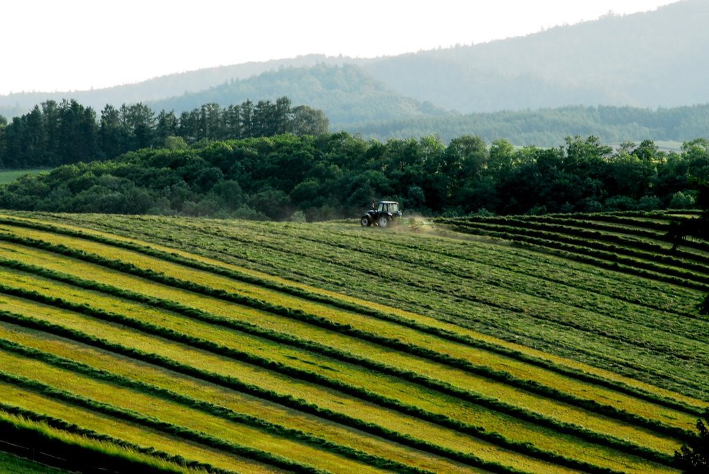 Хоккайдо остров, Хоккайдо регион, Япония, фото № 72734 – фотографии Японии