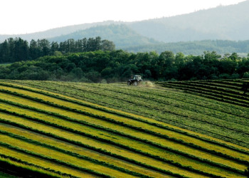Хоккайдо остров, Хоккайдо регион, Япония, фото № 72734 – фотографии Японии