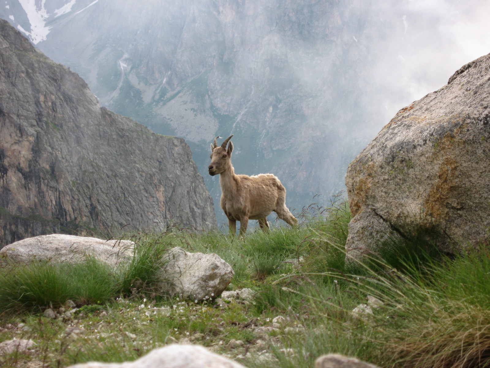 Ущелье Адыр-Су, Кабардино-Балкария, Россия. Фото 5 – фотографии России