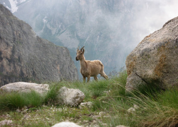 Ущелье Адыр-Су, Кабардино-Балкария, Россия. Фото 5 – фотографии России