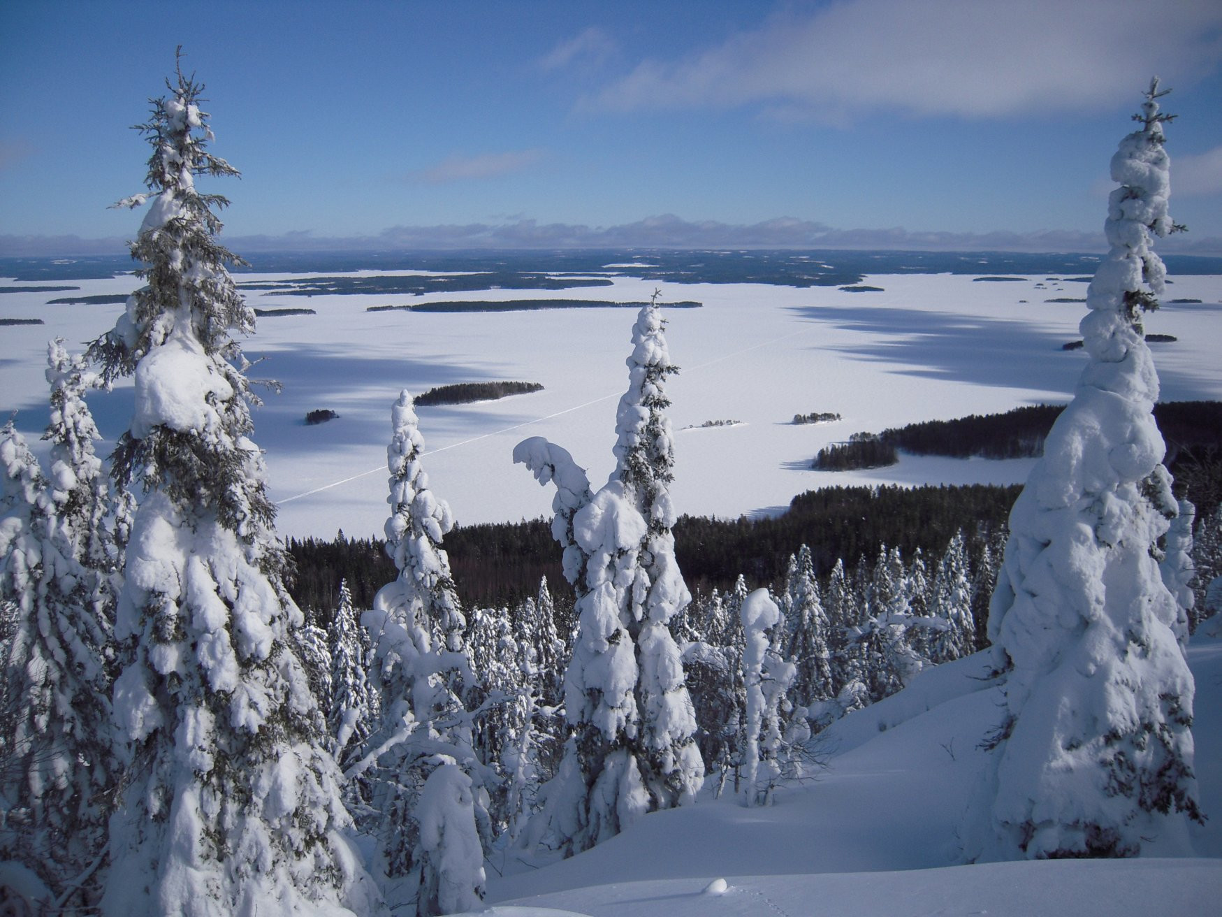 Коли, Финляндия, фото № 74551 – фотографии Финляндии