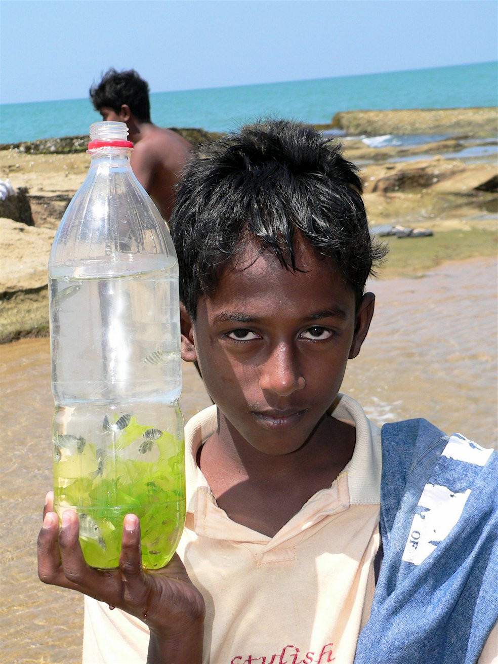 Негомбо, Шри-Ланка, фото № 51984 – фотографии Шри-Ланки