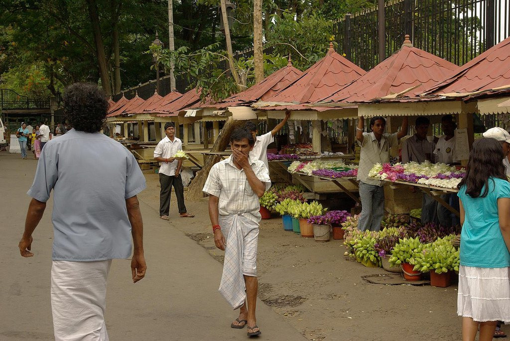 Канди, Шри-Ланка, фото № 51393 – фотографии Шри-Ланки