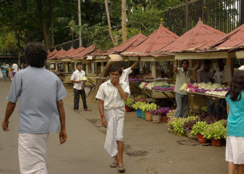 Канди, Шри-Ланка, фото № 51393 – фотографии Шри-Ланки