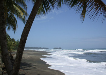 Кауита, Лимон провинция, Коста-Рика, фото № 40036 – фотографии Коста-Рики